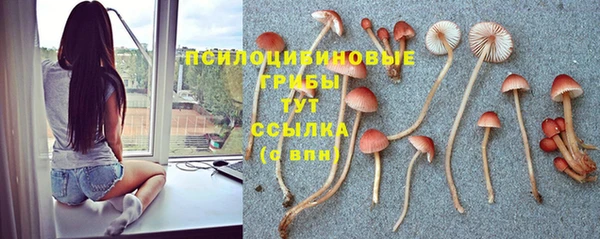 мдма Бородино