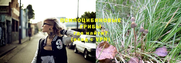 прущий лед Бронницы