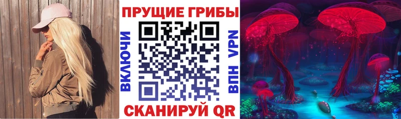 МЕГА маркетплейс  Мытищи  Галлюциногенные грибы MAGIC MUSHROOMS 